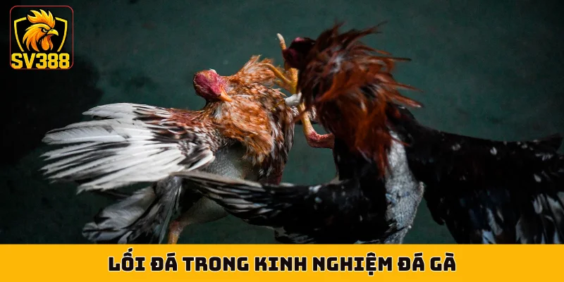 Lối đá trong kinh nghiệm đá gà