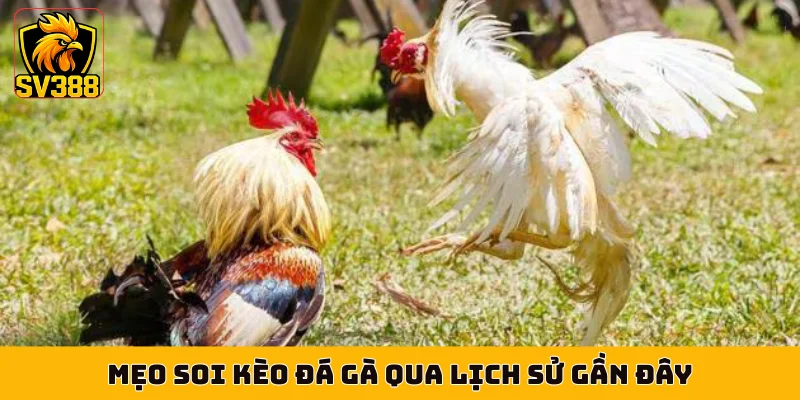 Mẹo soi kèo đá gà qua lịch sử gần đây