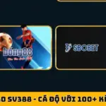 Thể Thao SV388 - Cá Độ Với 100+ Kèo Thơm Hàng Ngày