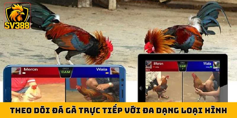 Theo dõi đá gà trực tiếp với đa dạng loại hình